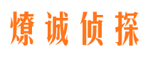 舒城市私家调查